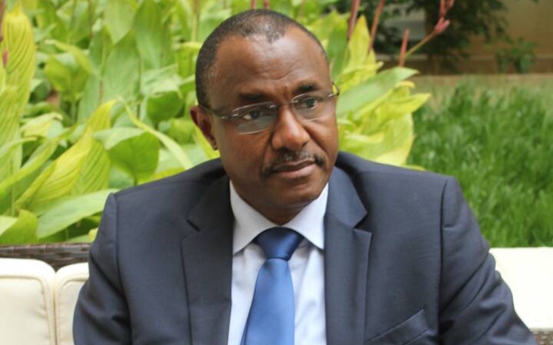 Guinée : Mohamed Béavogui, un Premier ministre « bon teint »